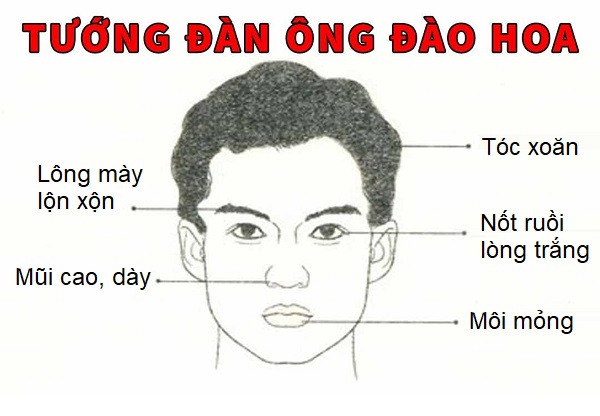 Xem tuong dan ong dao hoa qua khuon mat